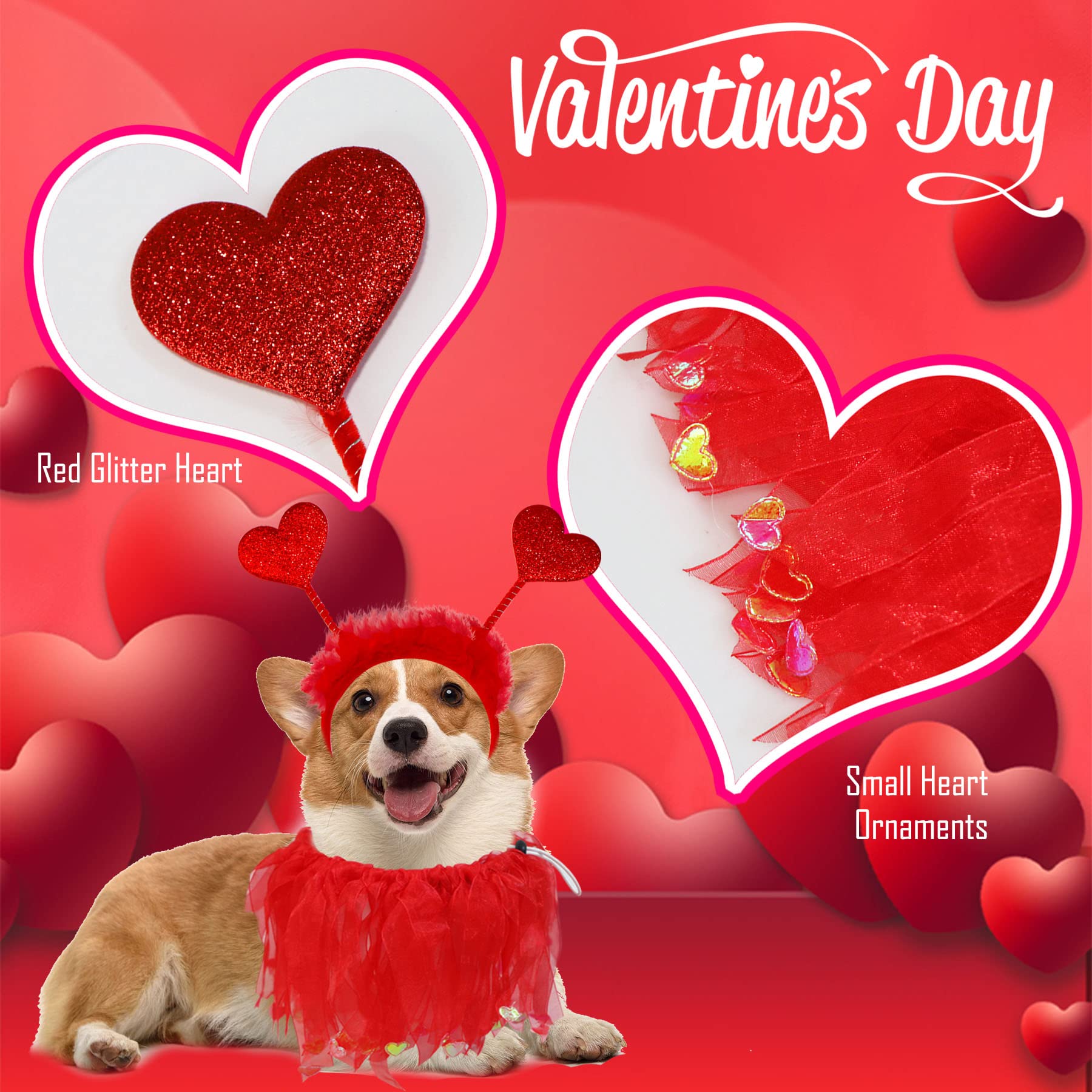 Perro luciendo el conjunto GOYOSWA en San Valentín.