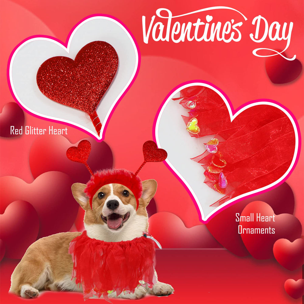 Perro luciendo el conjunto GOYOSWA en San Valentín.