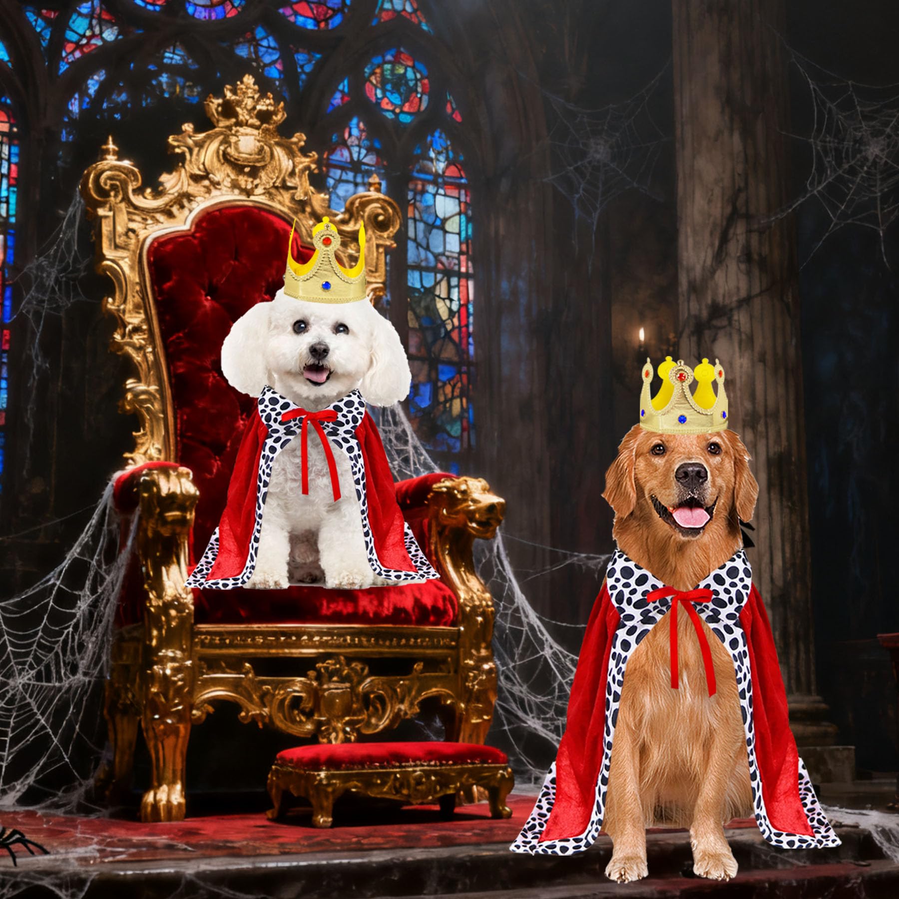 Perro con disfraz GOYOSWA rey posando en evento