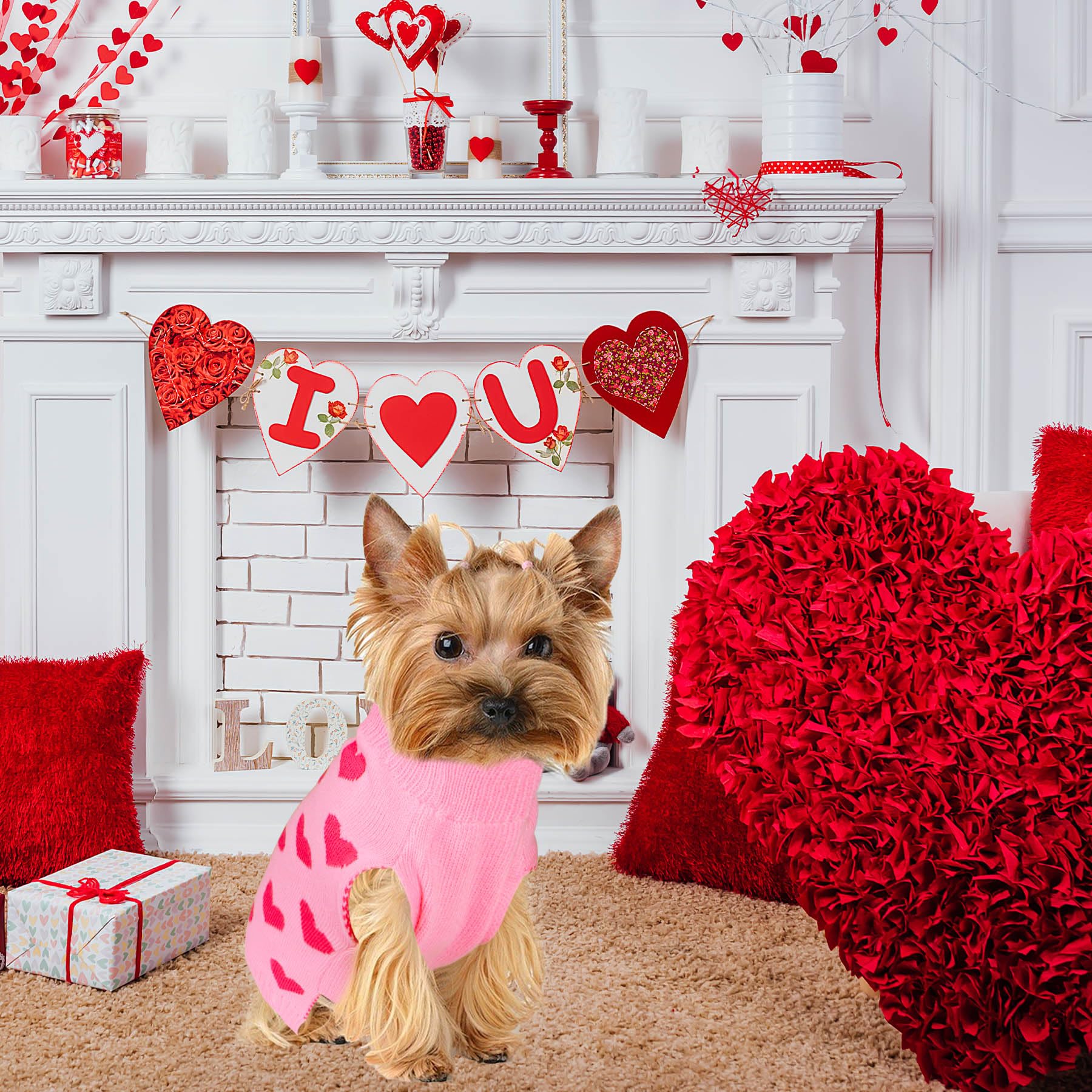 GOYOSWA sudadera para perros valentin, modelo feliz para uso diario.