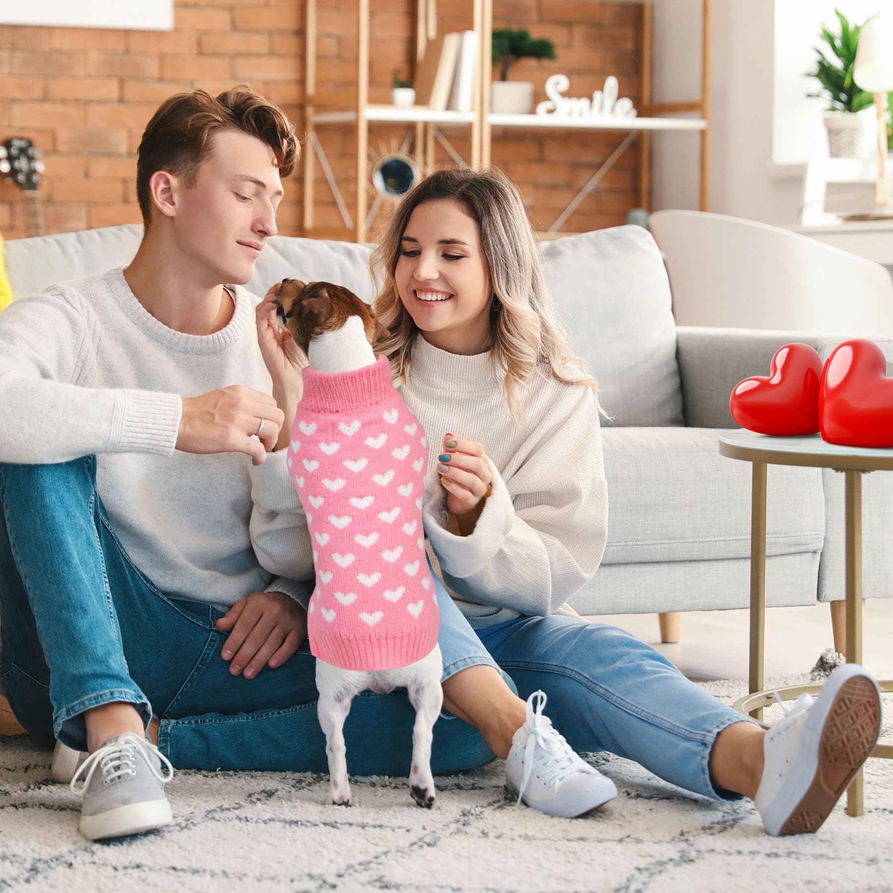 Suéter GOYOSWA para uso diario, ropa elegante para mascotas