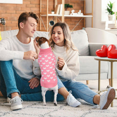 Suéter GOYOSWA para uso diario, ropa elegante para mascotas