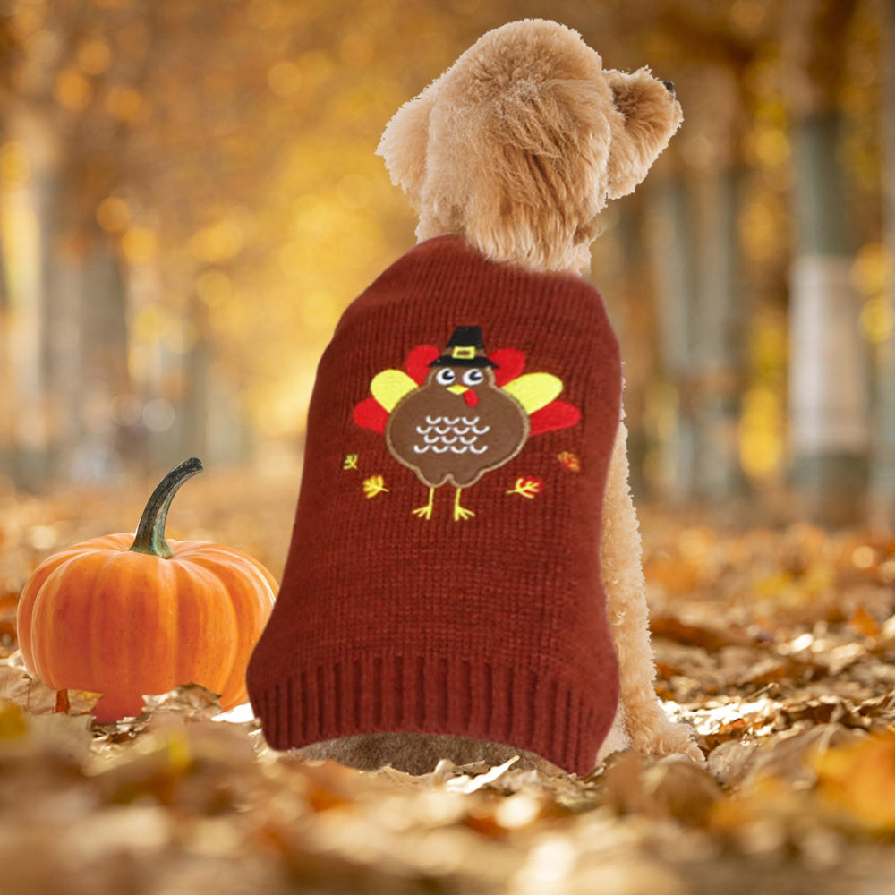 GOYOSWA conjunto festivo para perros, ideal para sesiones de fotos.