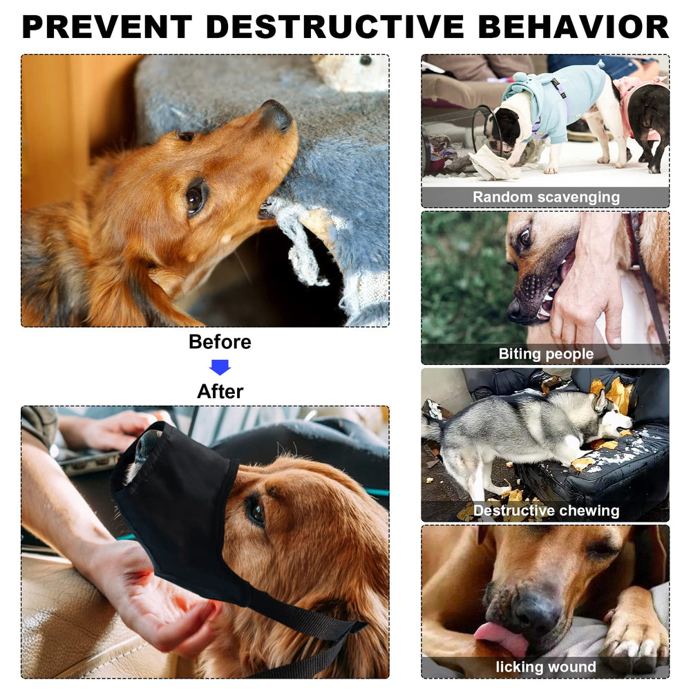 GPUSFAK kit primeros auxilios perros uso diario: facilita cuidados cotidianos.