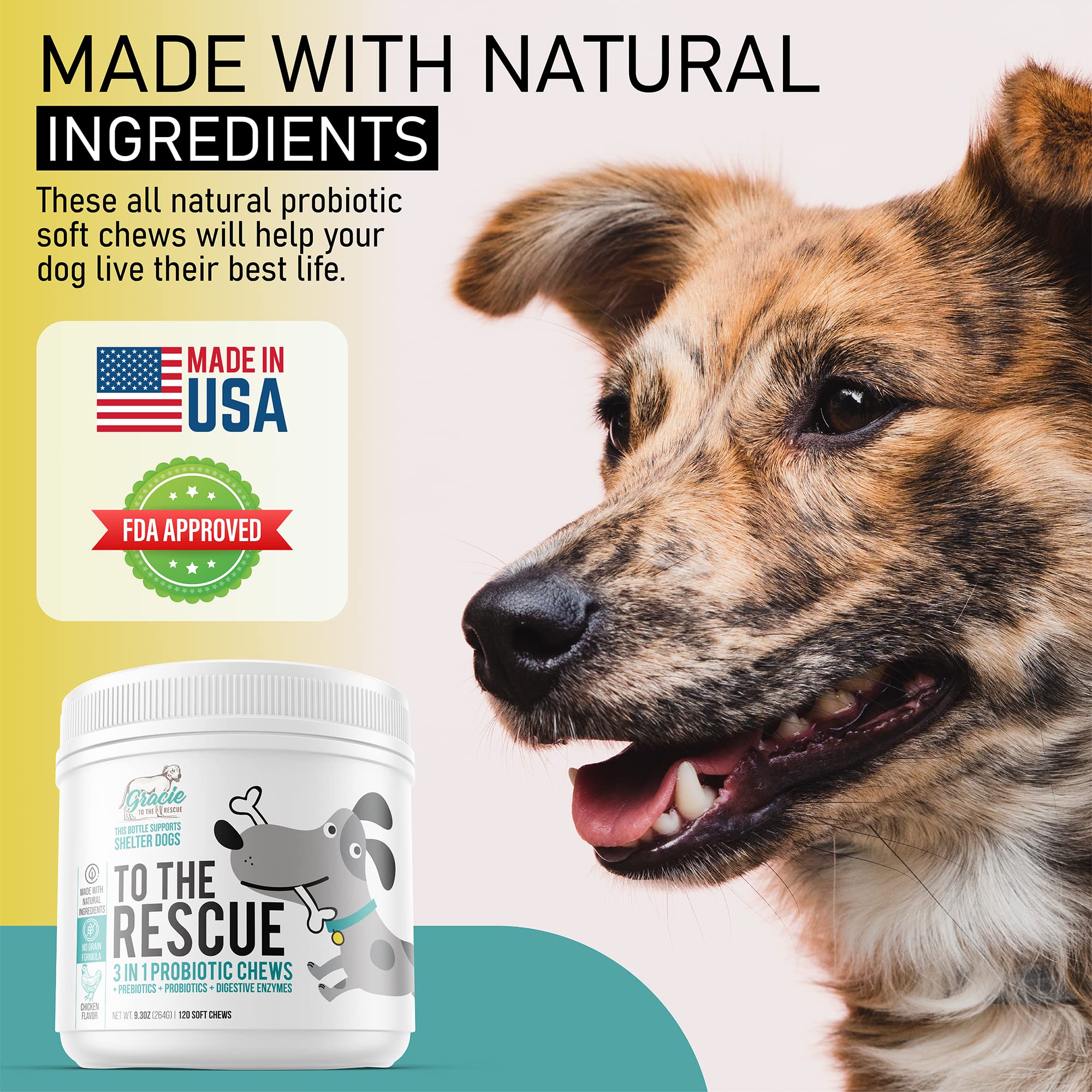 Ingredientes de alta calidad en los masticables probióticos para perros Gracie To The Rescue