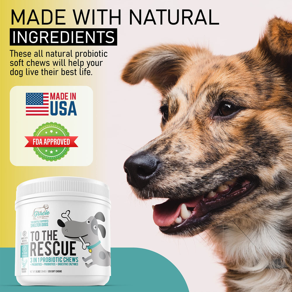Ingredientes de alta calidad en los masticables probióticos para perros Gracie To The Rescue