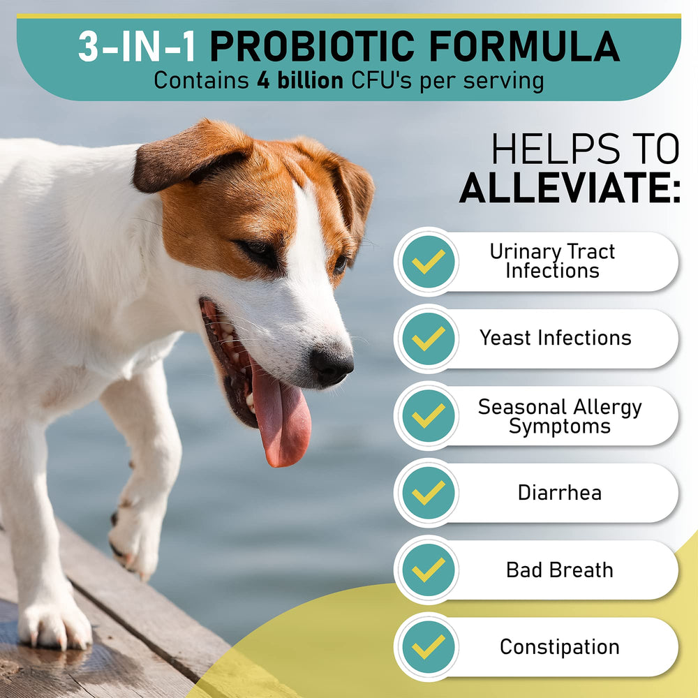 Textura suave de masticables probióticos Gracie To The Rescue para perros