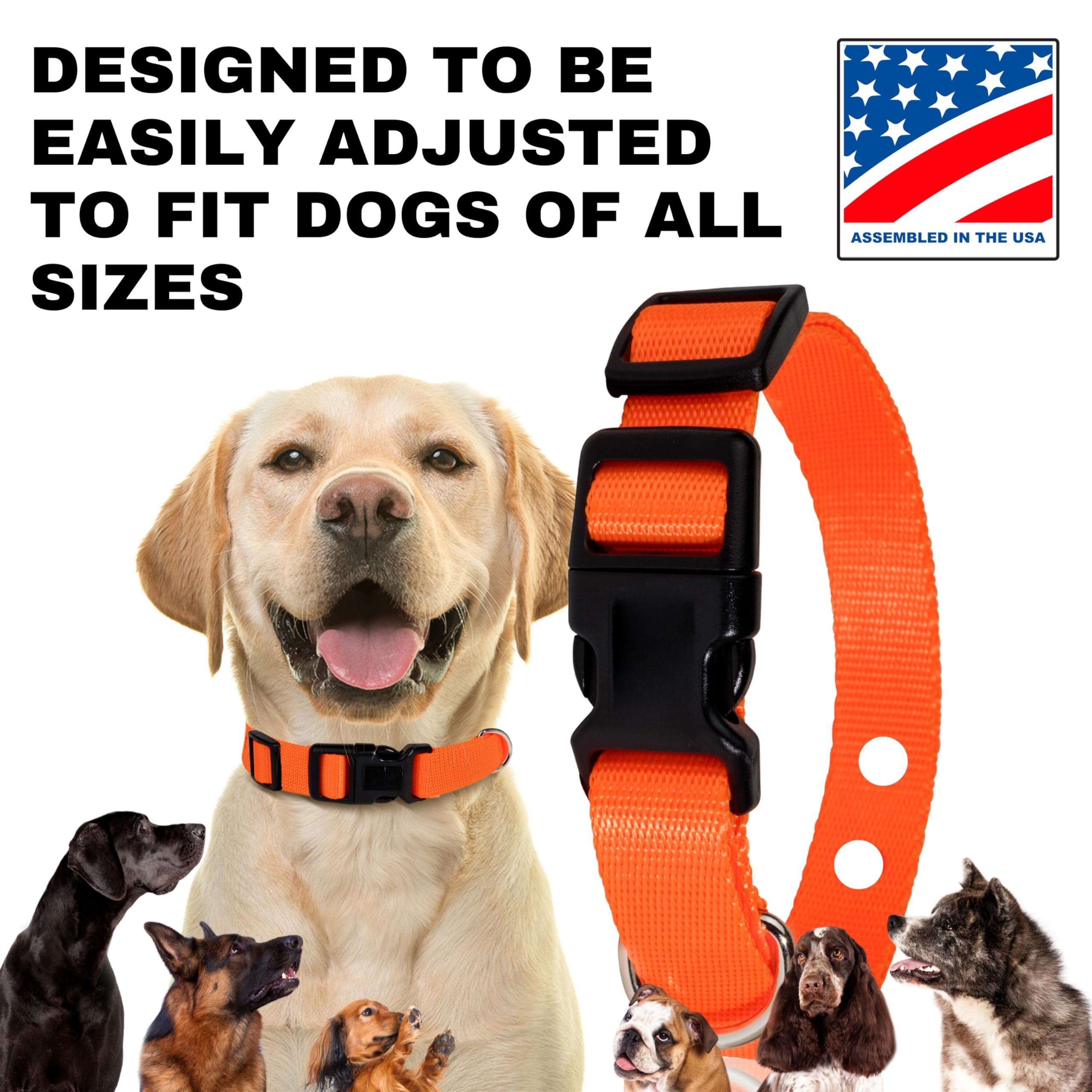 Gracie To The Rescue: compatibilidad con Pet Safe para reemplazo conveniente.