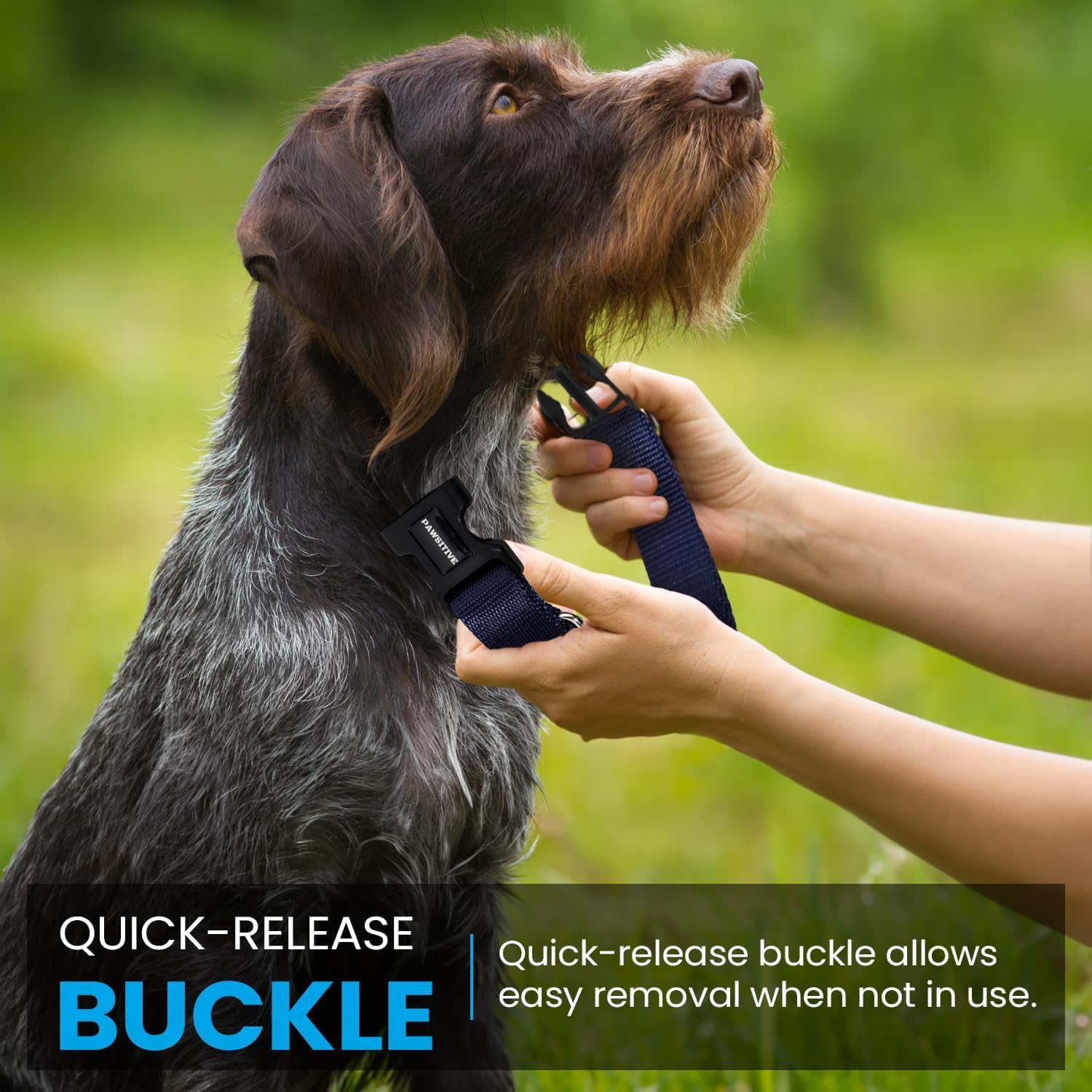 Gracie To The Rescue: instrucciones claras para instalación sin complicaciones.