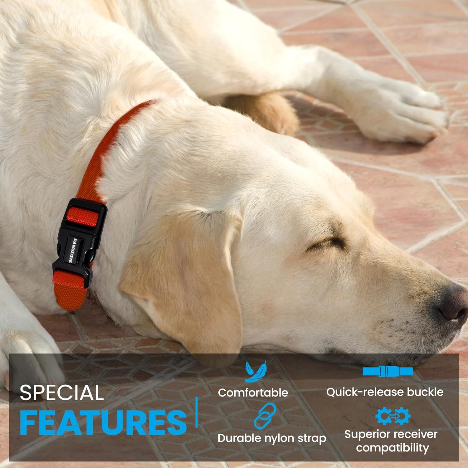 Gracie To The Rescue: material suave para mayor comodidad del cuello.
