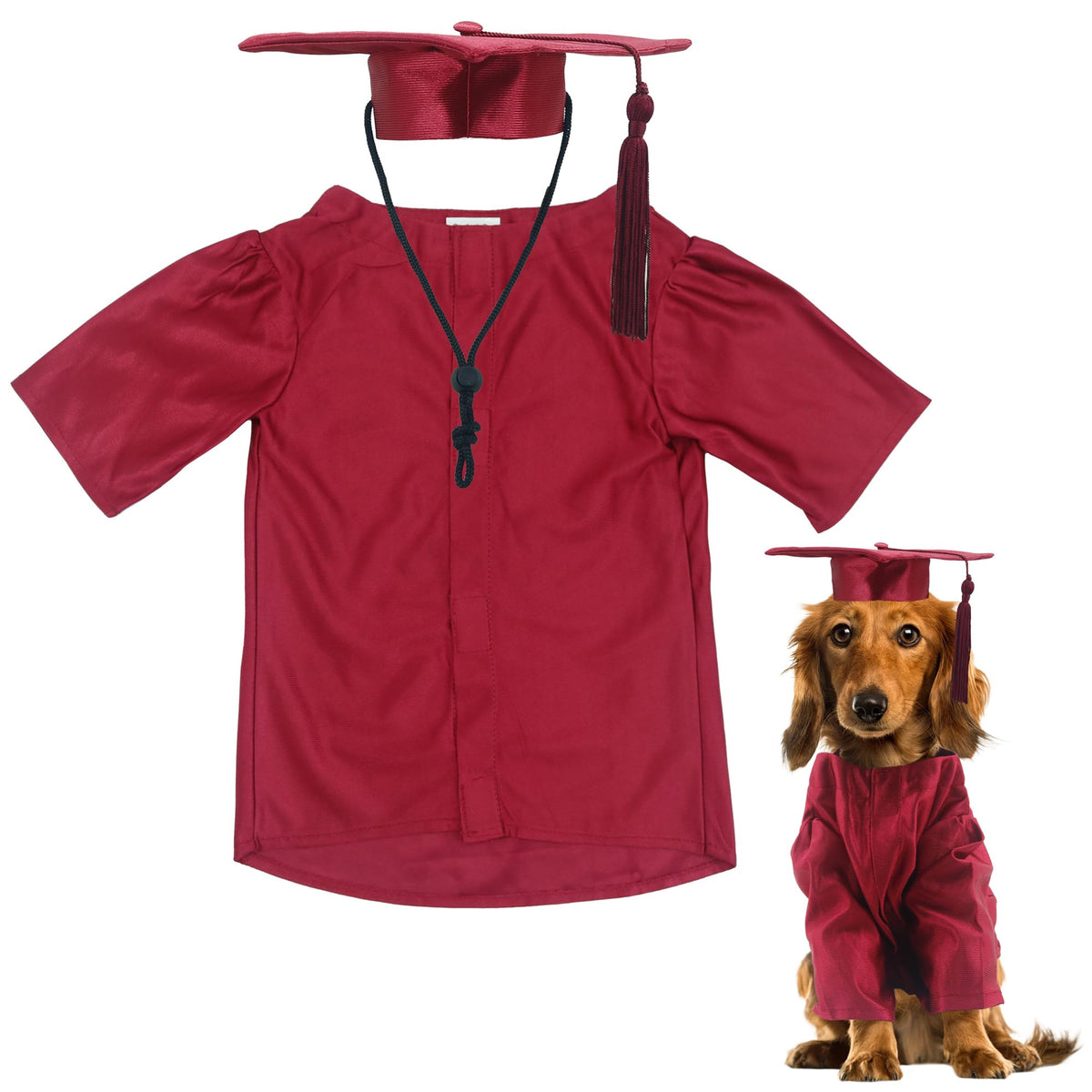 GraduatePro gorra de graduación para mascota, diseño ajustable para un ajuste cómodo.