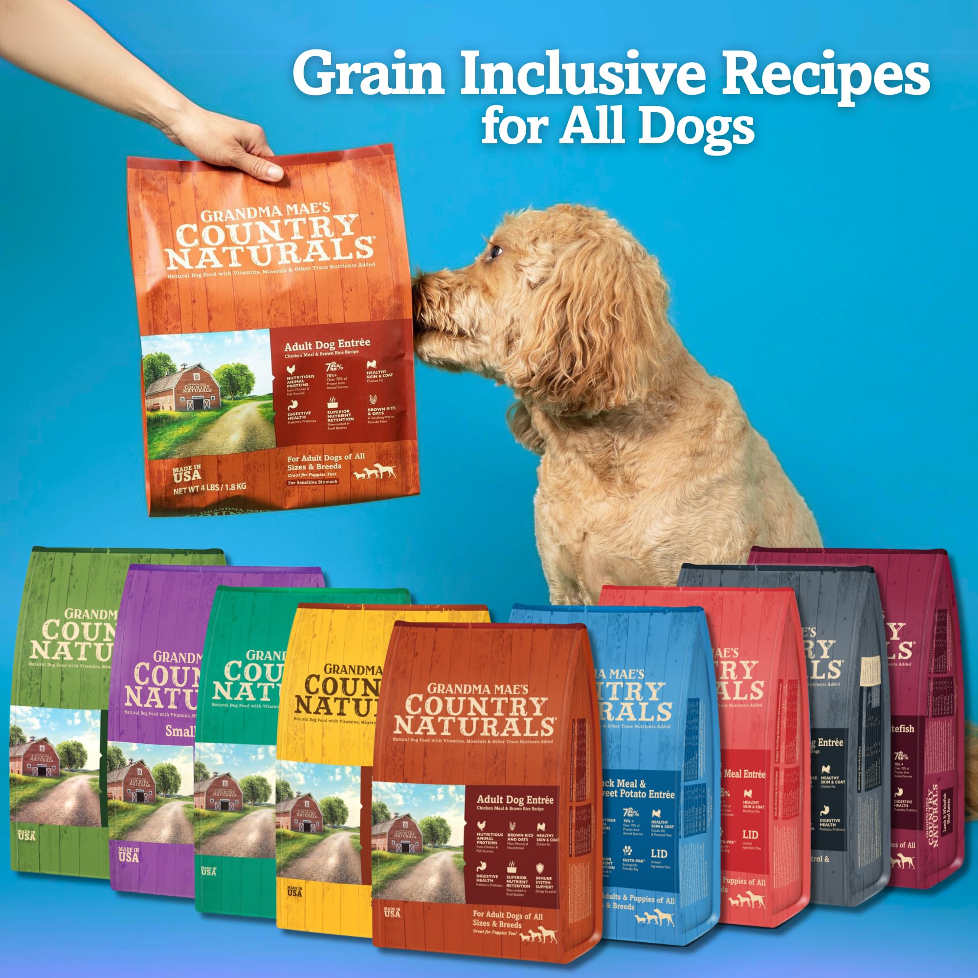 Grandma Mae's: arroz integral y verduras para digestión estable y energía diaria.