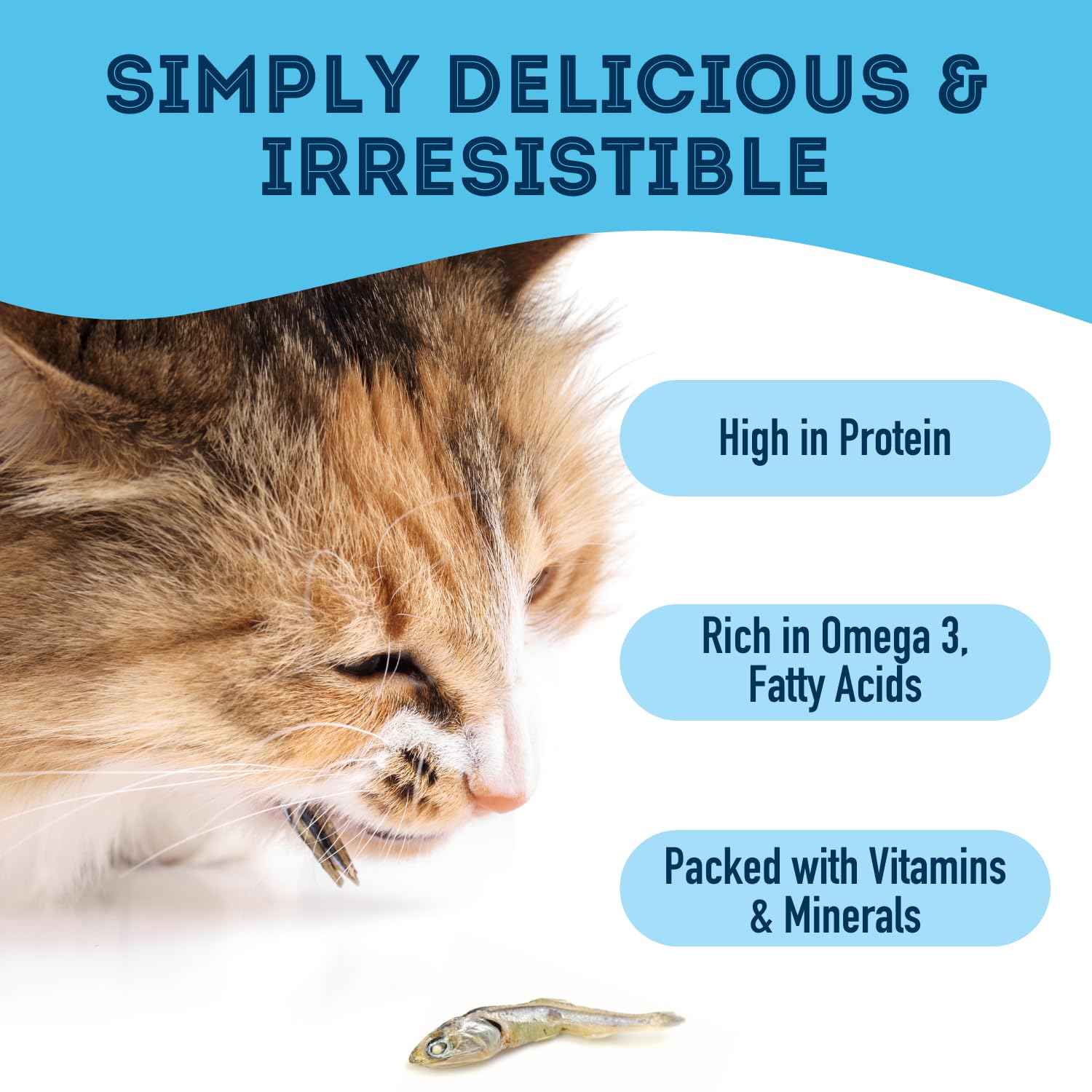 Granville Island Pet Treatery envase de 14.11 oz para almacenamiento cómodo