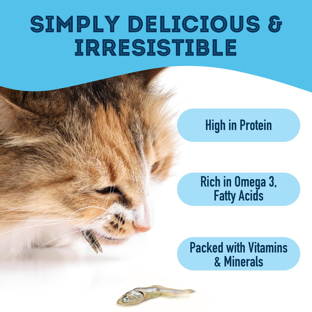 Granville Island Pet Treatery envase de 14.11 oz para almacenamiento cómodo