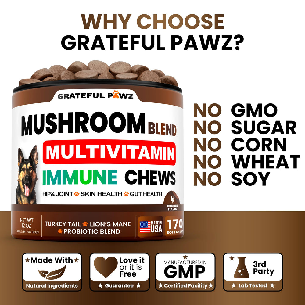 Grateful Pawz articulaciones: perro activo gracias al suplemento diario.