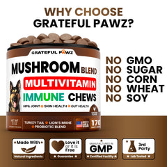Grateful Pawz articulaciones: perro activo gracias al suplemento diario.