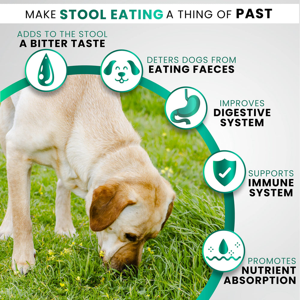 Grateful Pawz: frasco de masticables con fórmula probiótica para la flora intestinal.
