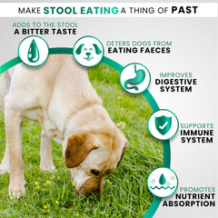 Grateful Pawz: frasco de masticables con fórmula probiótica para la flora intestinal.