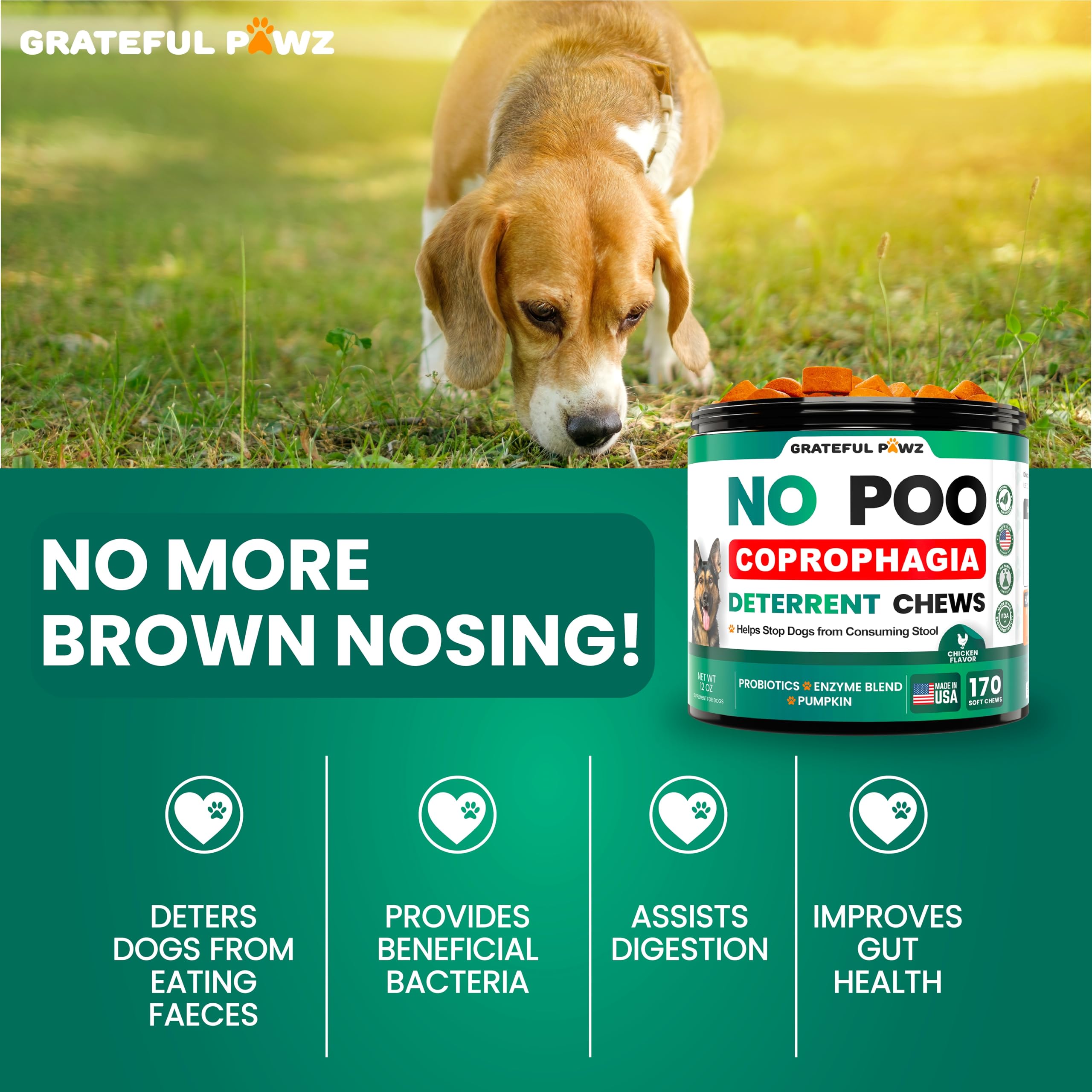 Grateful Pawz: imagen de comida para perro, apoyo digestivo posible.
