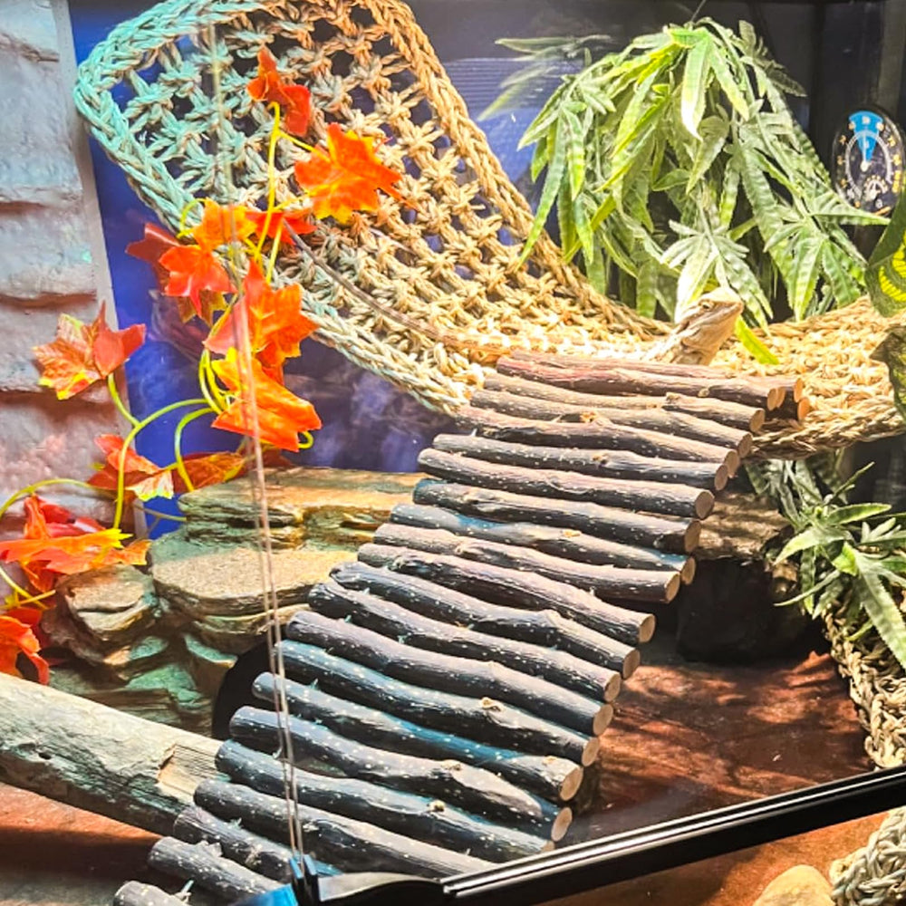 Grddaef hamaca para reptil, zona de descanso cómoda.