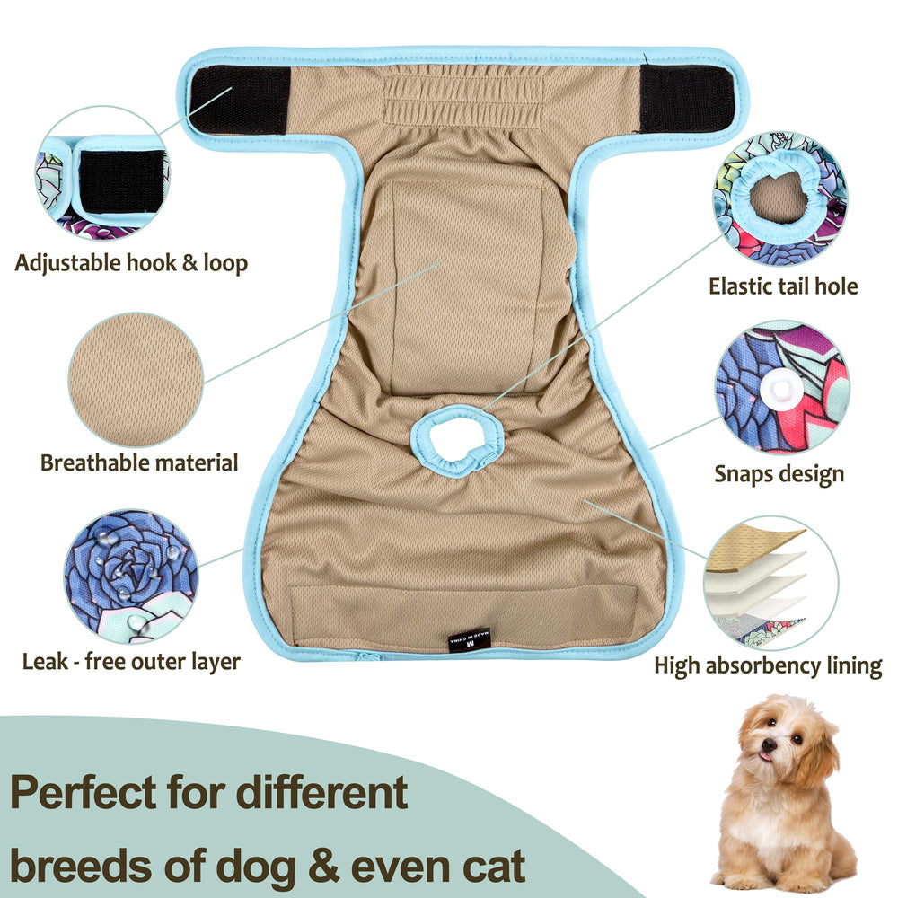 Grecle ideal para uso nocturno en mascotas senior