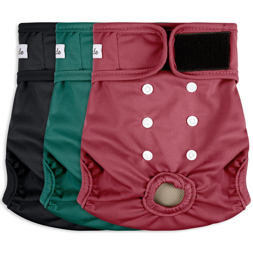 Pañales Grecle para perra hembra en celo con ajuste de broches y comodidad.