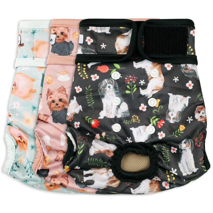 Pañales Grecle para perras femeninas, tres-pack, ajuste cómodo para la cintura.