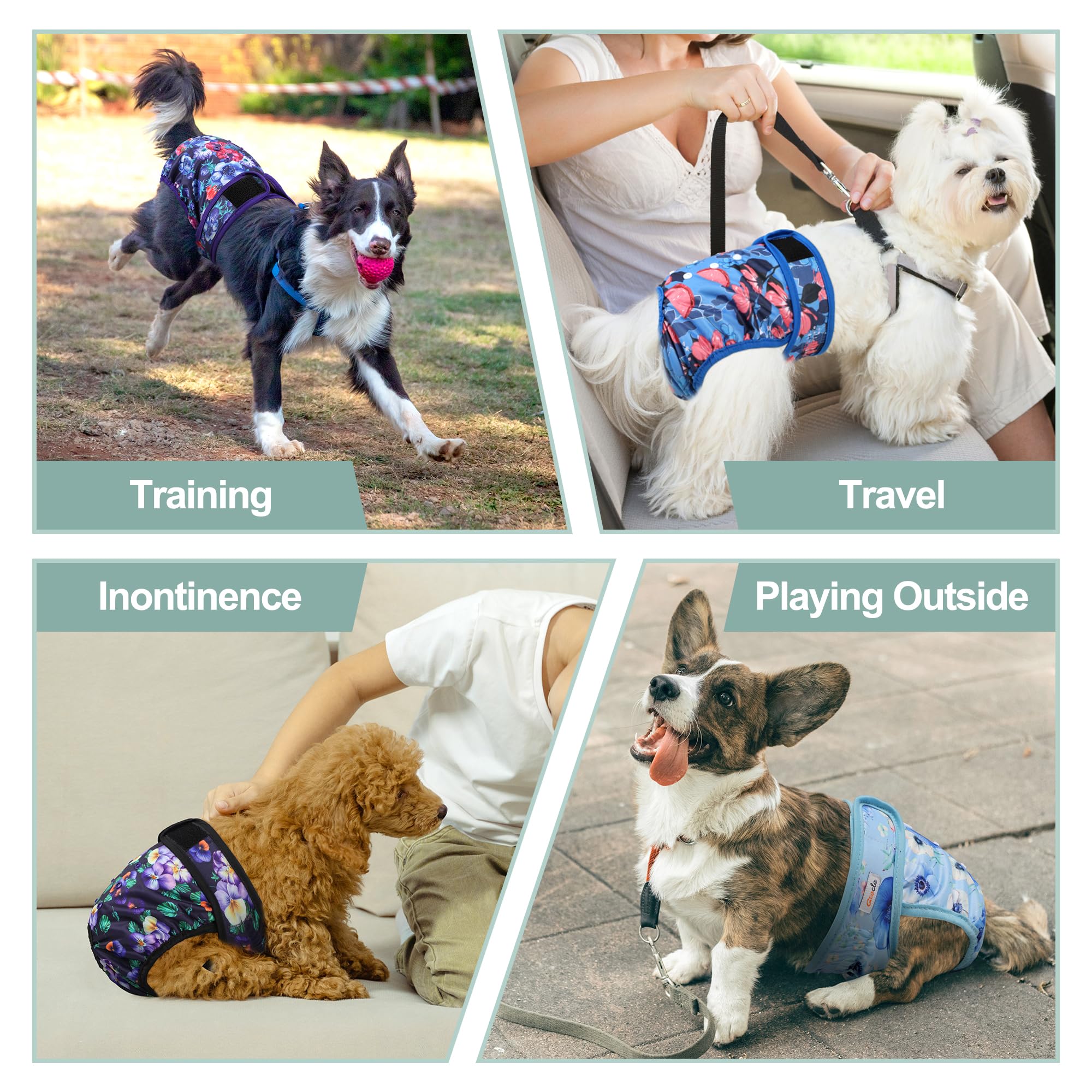 Grecle pañales para perro hembra Rose, reutilizables y fáciles de lavar