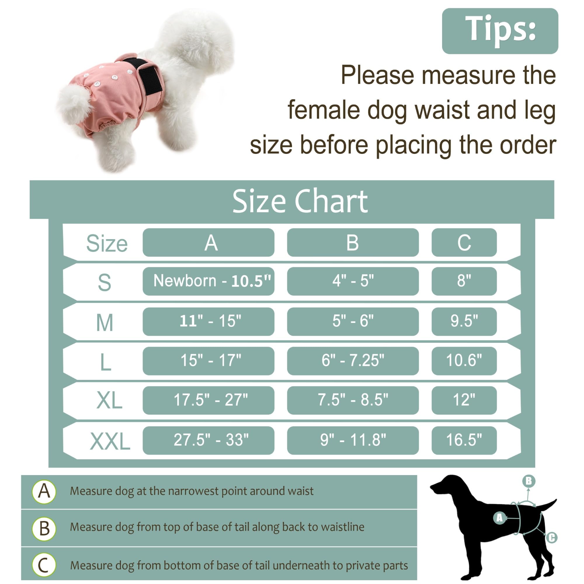 Grecle panales para perro hembra: antiderrame para tranquilidad en casa.