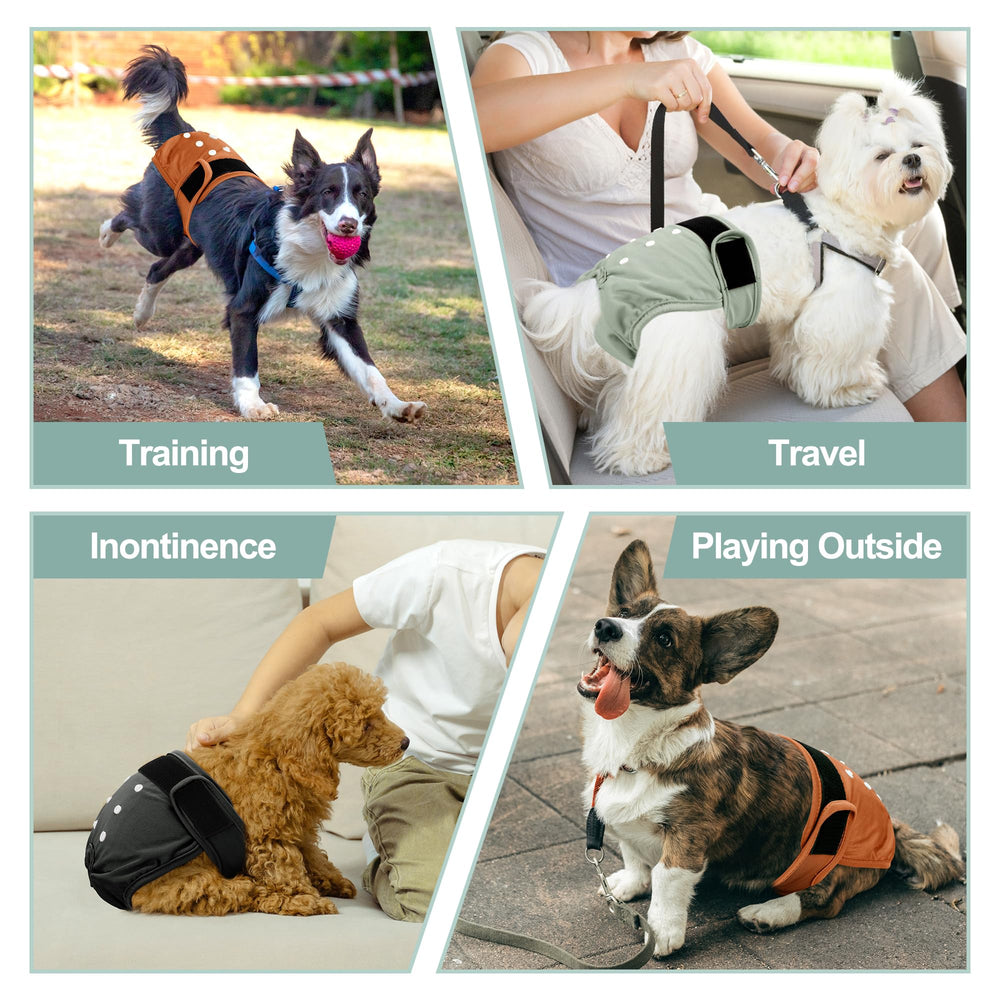 Grecle pañales para perros mayores, prevención de accidentes en casa