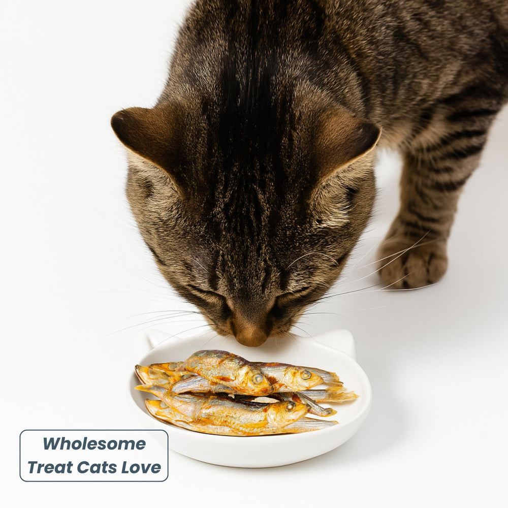 green paws arenque seco ideal para topper de comidas, sabor marino suave