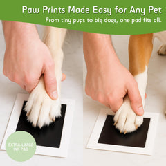 Green Pollywog proceso-sin-manchas: instrucciones simples para impresiones nítidas
