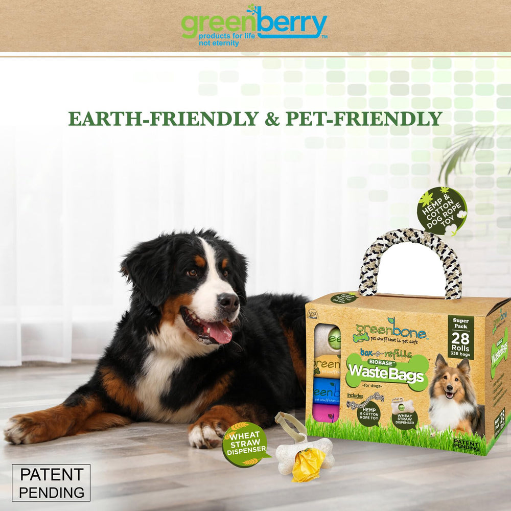 Greenbone BioBase: set regalo para perros, perfecto para cumpleaños caninos