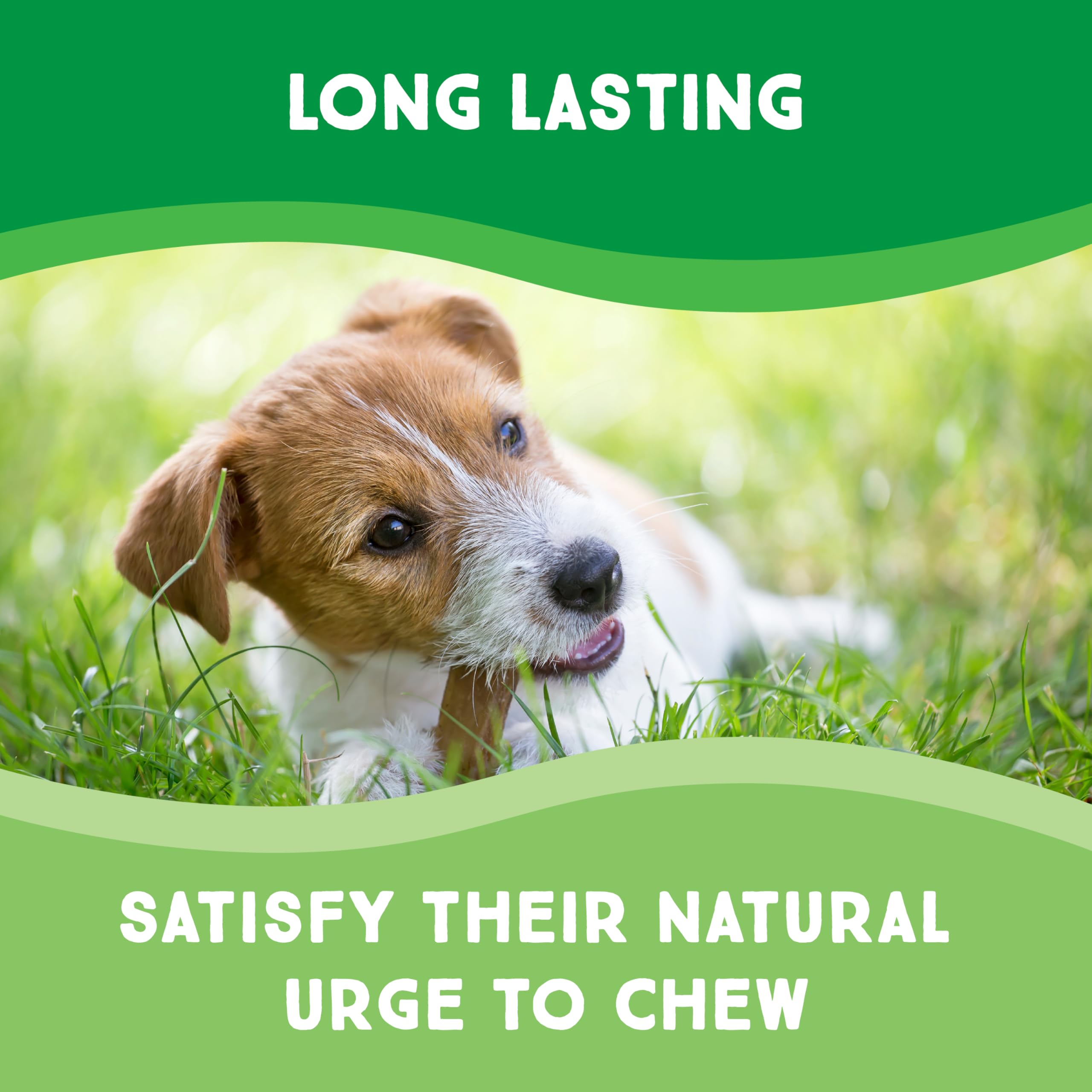 GreenCow Rawhide Chips: sabor ternera natural que agrada al paladar del perro.