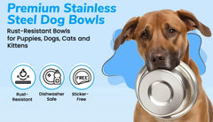 Greendale interior del cuenco, ideal para porciones de comida de mascotas.
