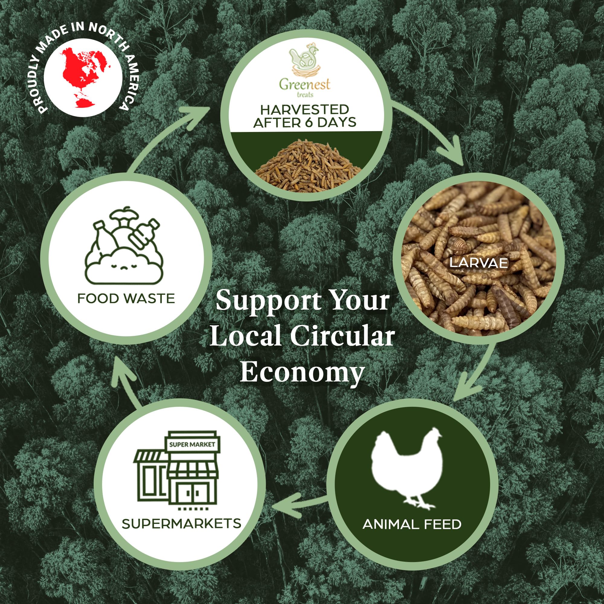 Greenest Treats: larvas para tortugas y lagartos, complemento natural.