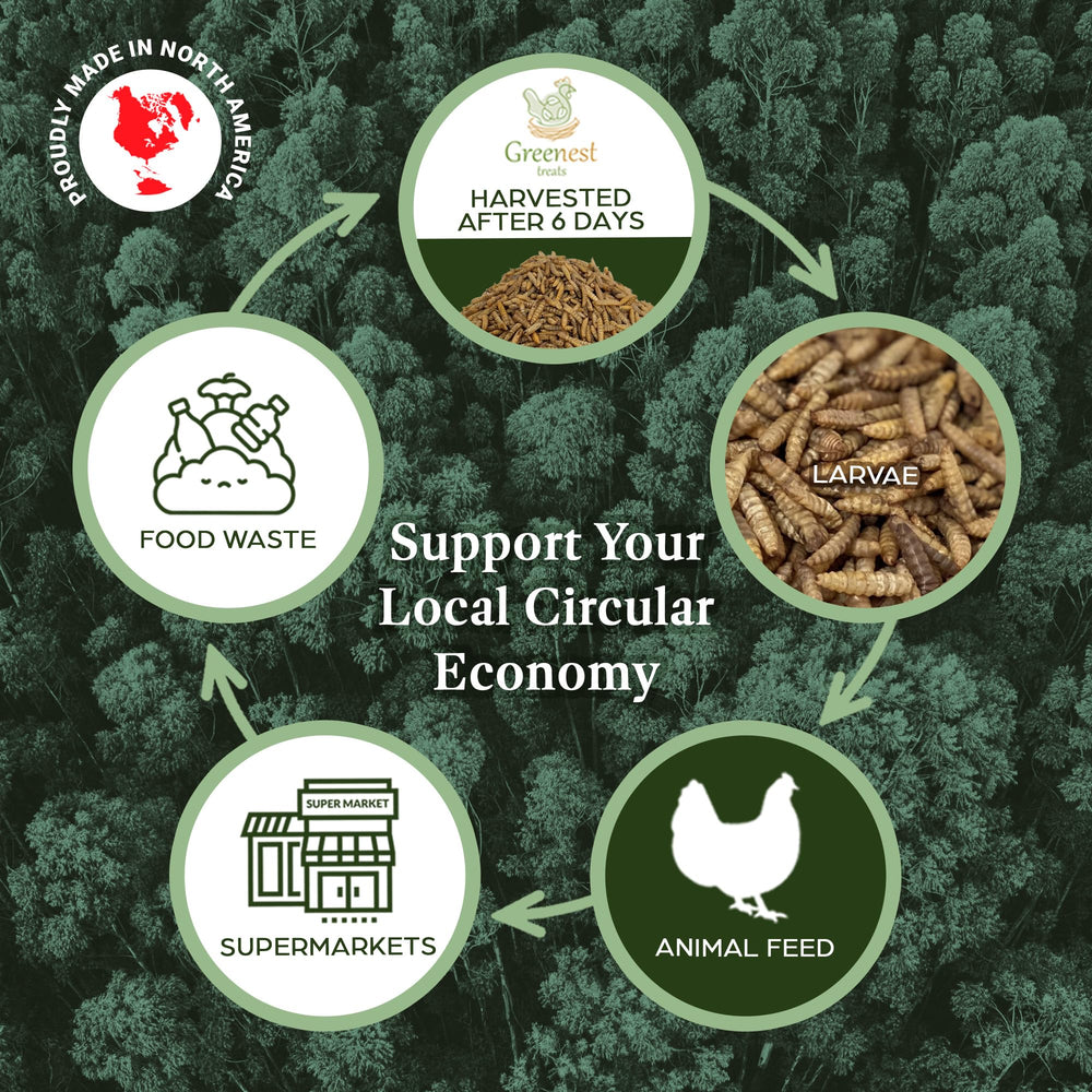 Greenest Treats: larvas para tortugas y lagartos, complemento natural.