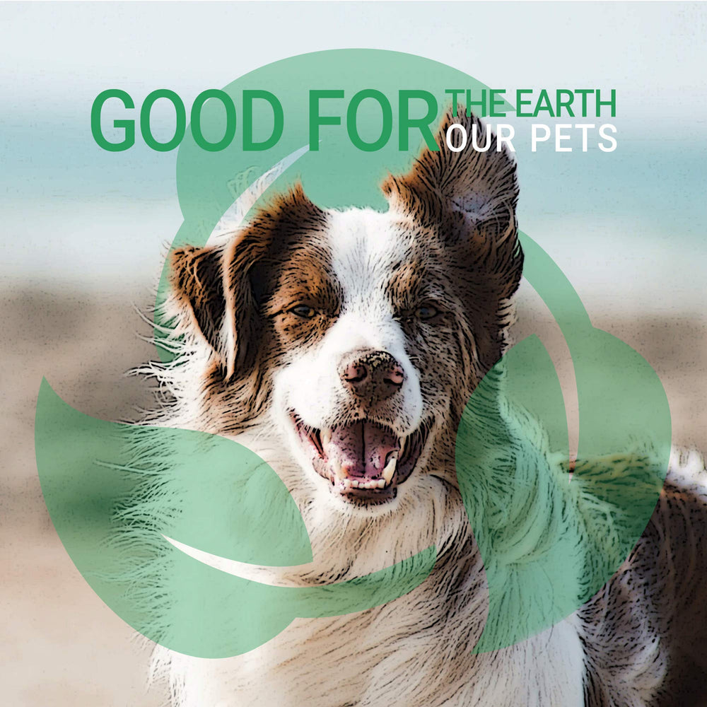 GreenGroom libre de crueldad y biodegradable