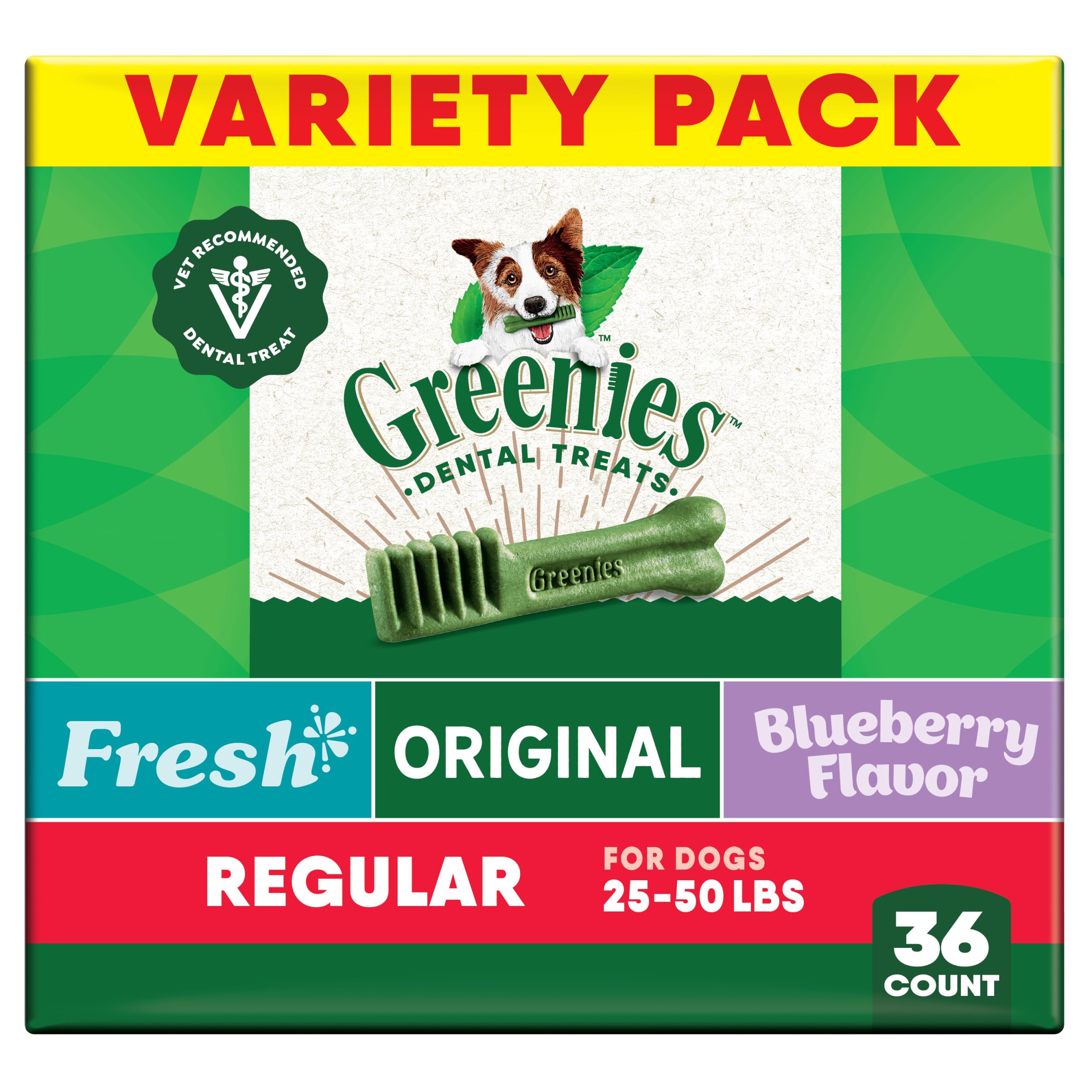 Greenies dentales original para perros adultos masticando y limpiando encías