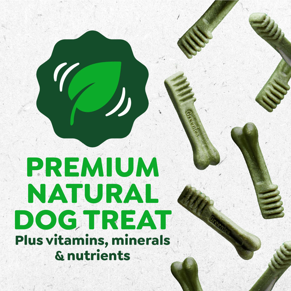 Greenies dentales para perros, perro saboreando sabor original durante la merienda diaria