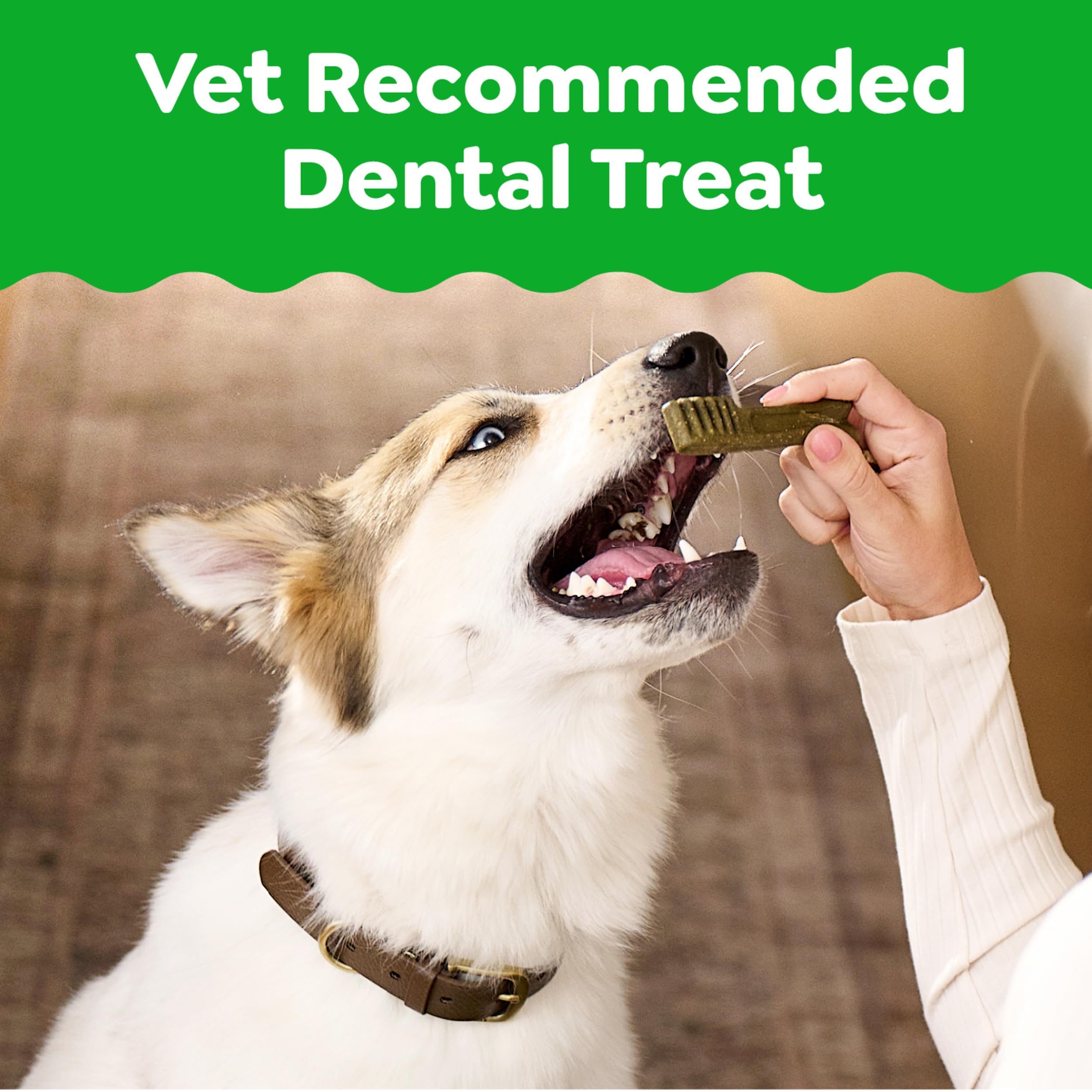 Greenies dulces dentales para perro sabor arándano: favorece la limpieza dental y el aliento