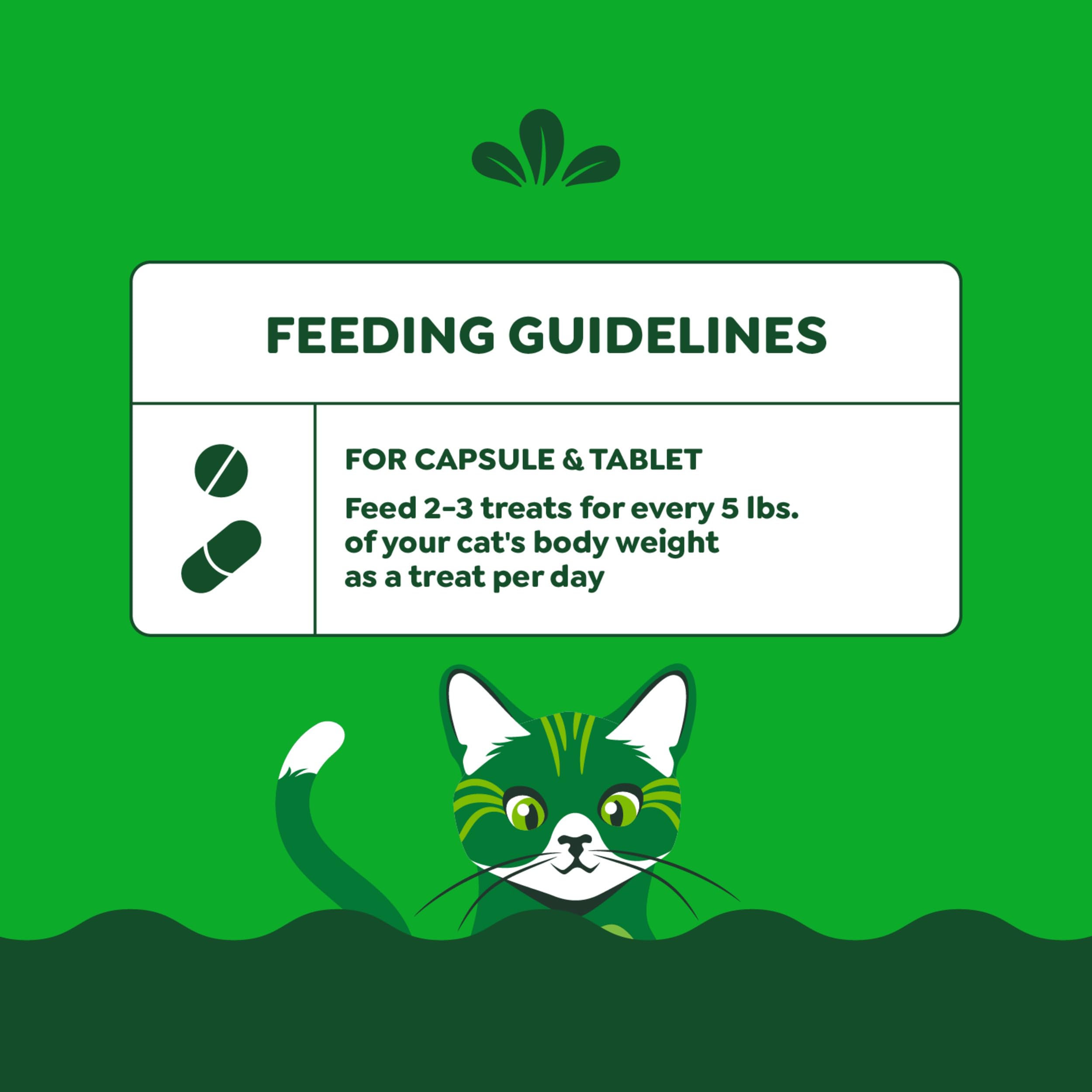 Greenies Gatos envase fácil de usar: preparación rápida en casa.