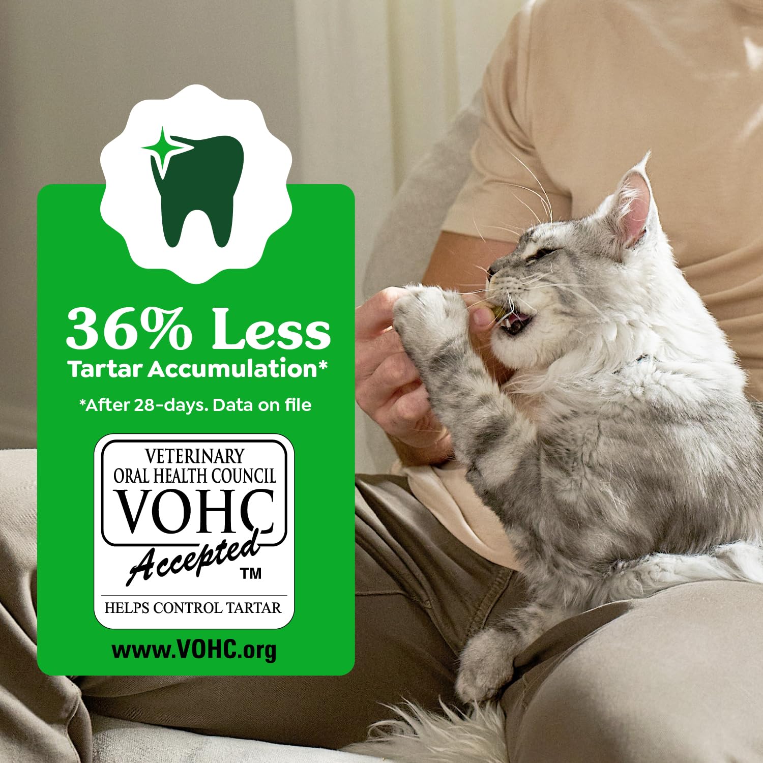 Greenies Gatos Premios Dentales Catnip Sabor: sabor natural que agrada a felinos selectivos.