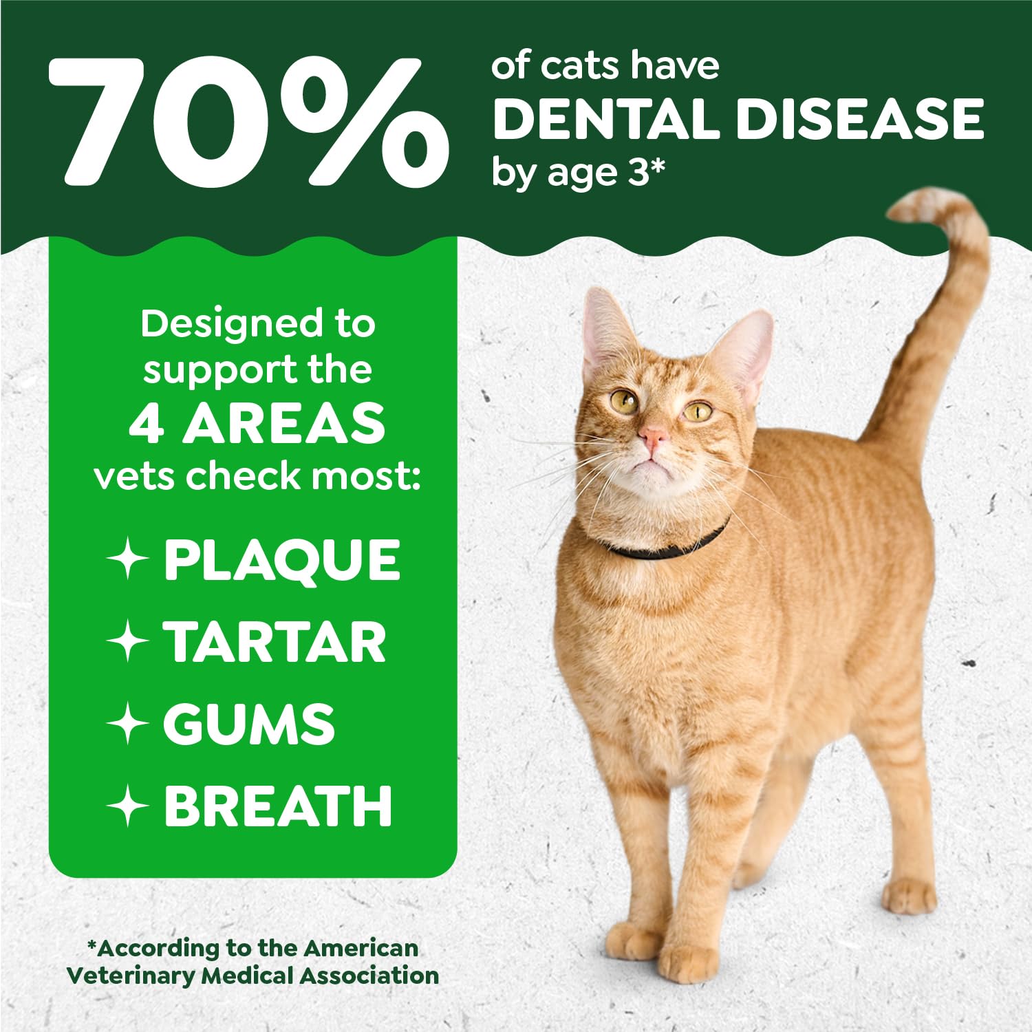 Greenies Gatos Premios Dentales Forma Cepillo: diseño que ayuda a limpiar líneas de encía.