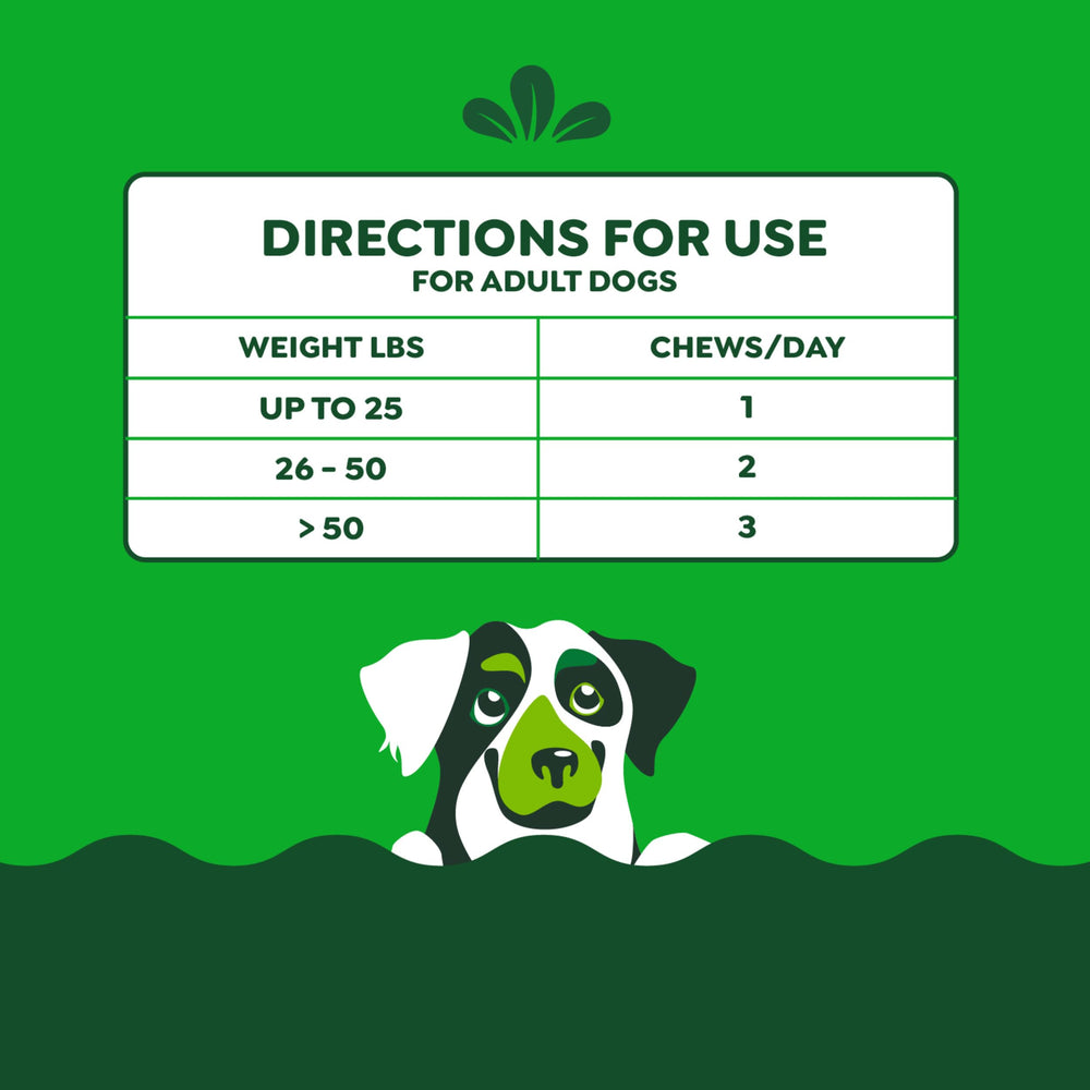 Greenies sin colorantes artificiales y preservantes: opción más limpia para perros.