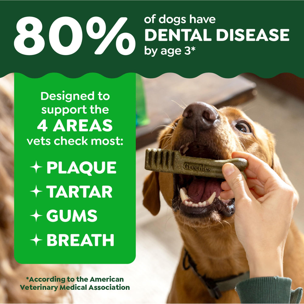 Greenies textura única dientes, diseño que ayuda a limpiar hasta la línea de las encías.