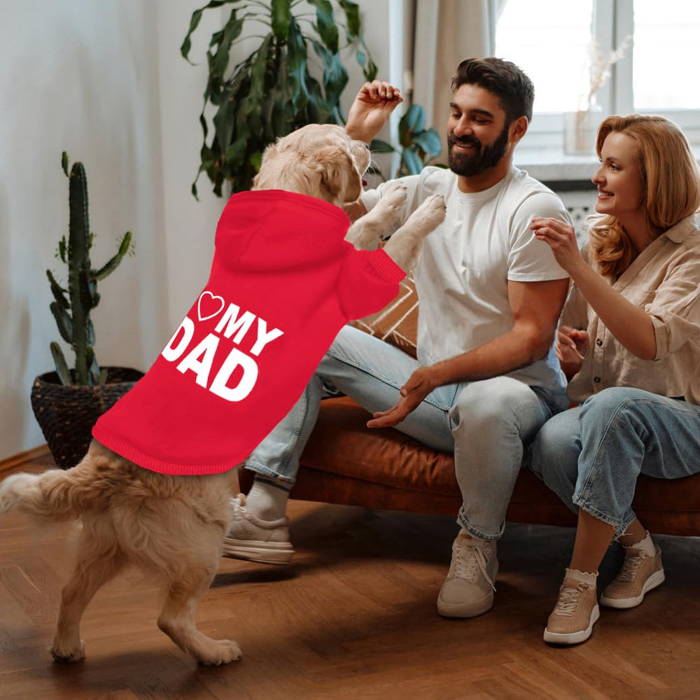 GreenJoy sudadera capucha, ajuste cómodo y lavado fácil en casa.