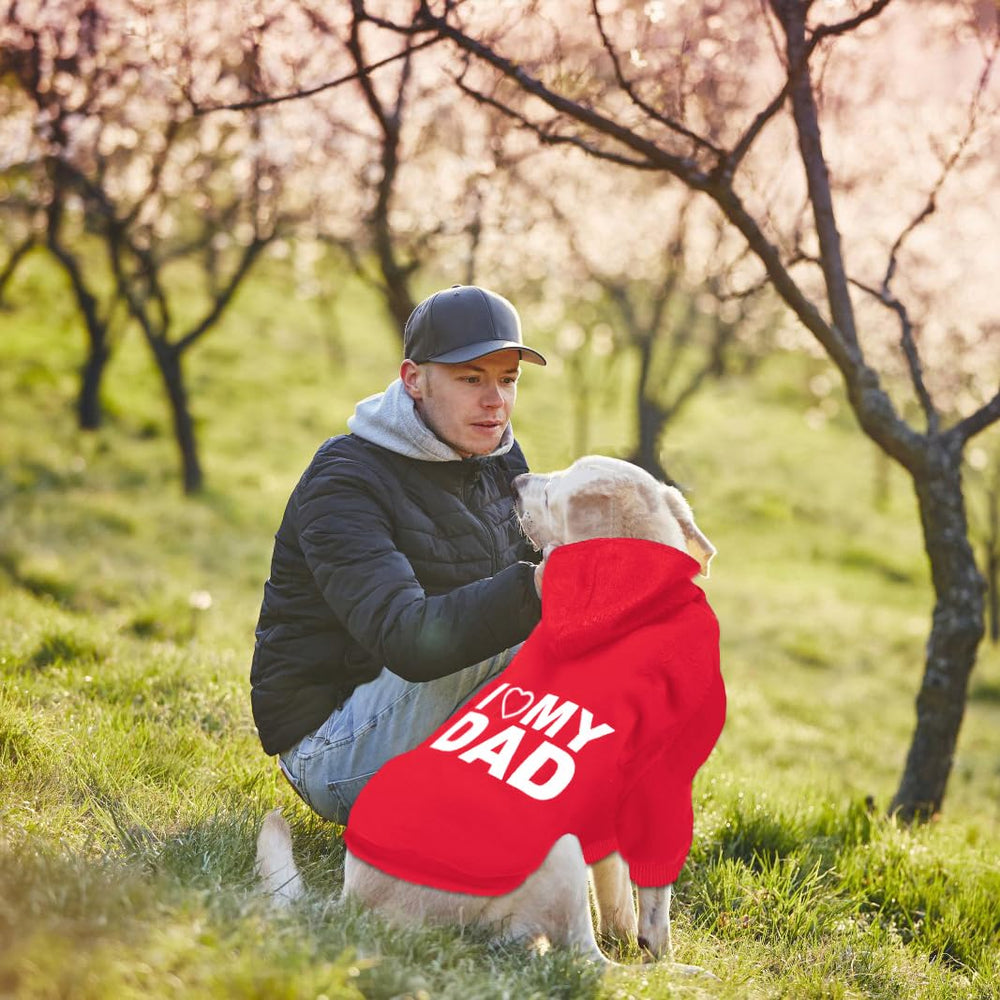 GreenJoy sudadera para uso diario y salidas, elegante y práctica.