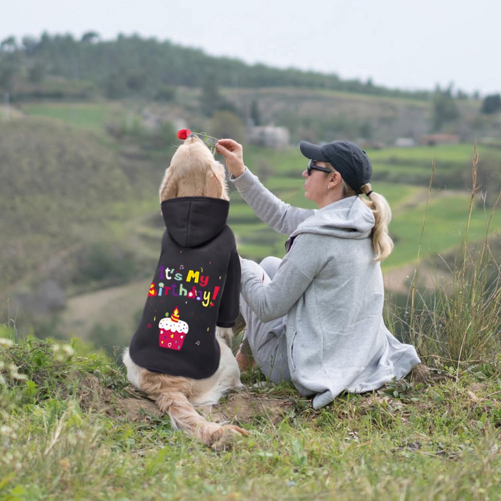 GreenJoy modelo con look llamativo, destacando estilo para la mascota