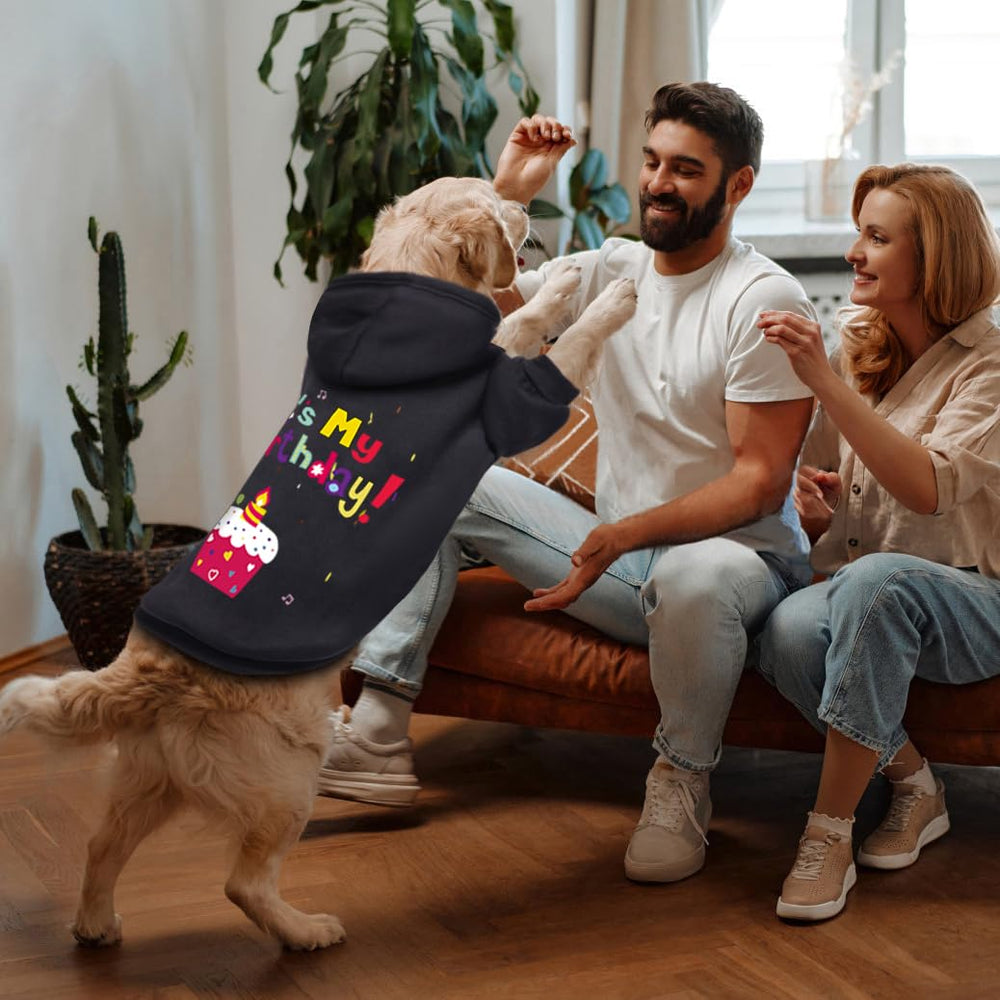 GreenJoy guía de tallas, ajuste perfecto para la mascota